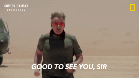 Gordon Ramsay Disney Plus GIF by National Geographic TV