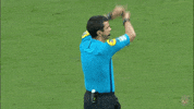 ligue 1 soccer GIF by Toulouse Football Club