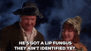 christmas vacation GIF
