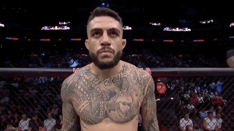 Mixed Martial Arts Sport GIF by UFC