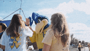 BlueHens football fun cheer high five GIF