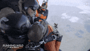 Runningwild GIF by National Geographic Channel