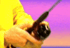 Fishing Reeling In GIF by Yung Bae