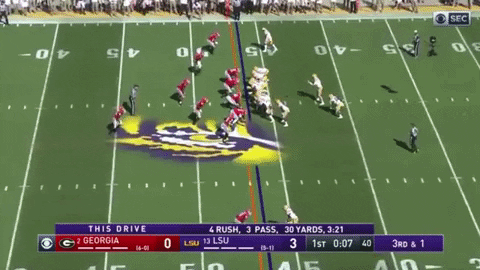 SchaufDS giphygifmaker GIF