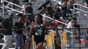 track & field wave GIF by GreenWave