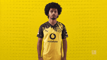 Borussia Dortmund No GIF by Bundesliga