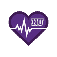 College Life Nu Sticker by Niagara University