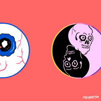 Animation Domination Lol GIF by gifnews