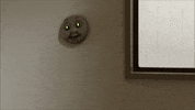 thomas the tank engine horror GIF