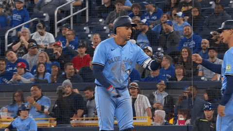 Blue Jays Celebration GIF by Toronto Blue Jays