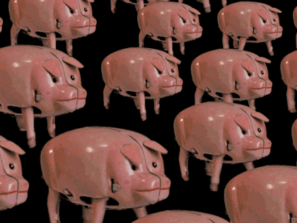 toys pigs GIF by Dropbear