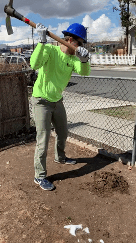 cpcutshaw giphygifmaker GIF