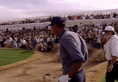 tiger woods GIF