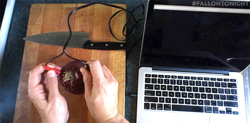 hacking jimmy fallon GIF by The Tonight Show Starring Jimmy Fallon