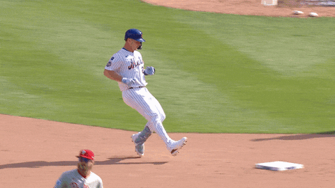Polar Bear Celebration GIF by New York Mets