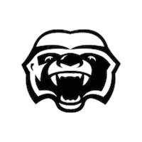 Basketball Nba Sticker by Brampton Honey Badgers