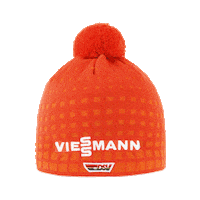 winterfans Sticker by Viessmann