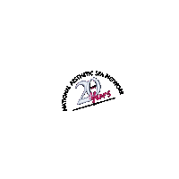 Spa Esthetician Sticker by NASNPRO