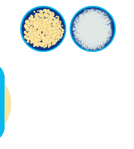 Food Baking Sticker by Kölln