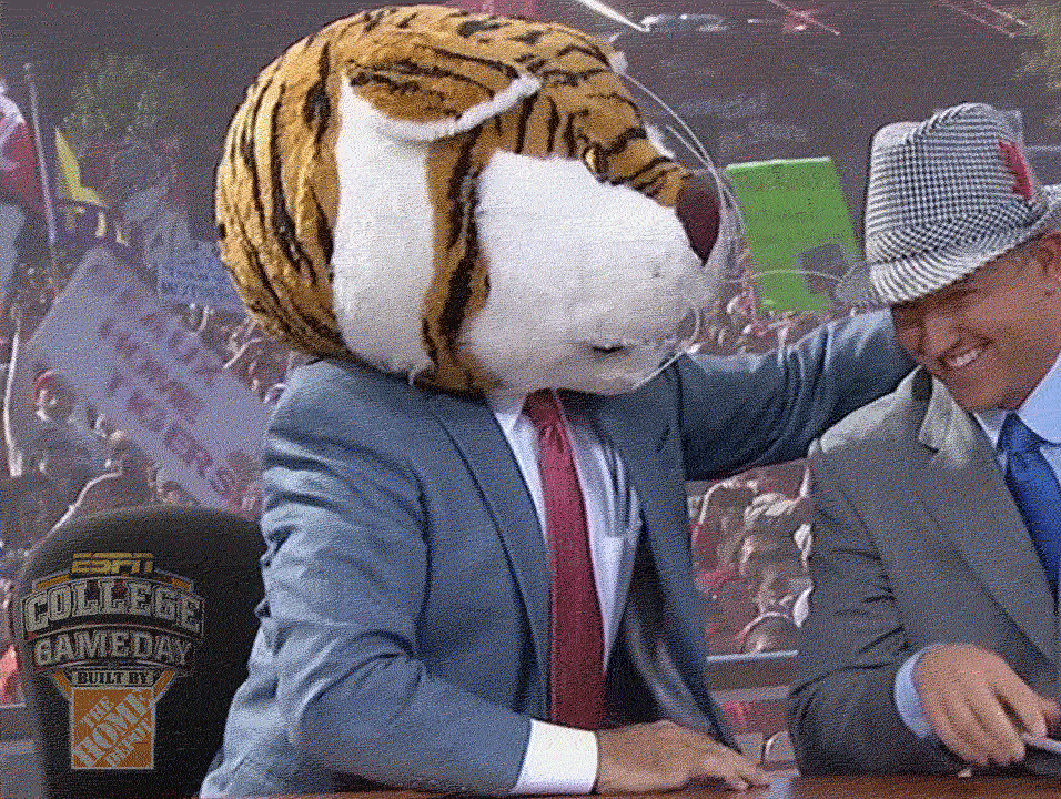 espn tigers GIF by College GameDay