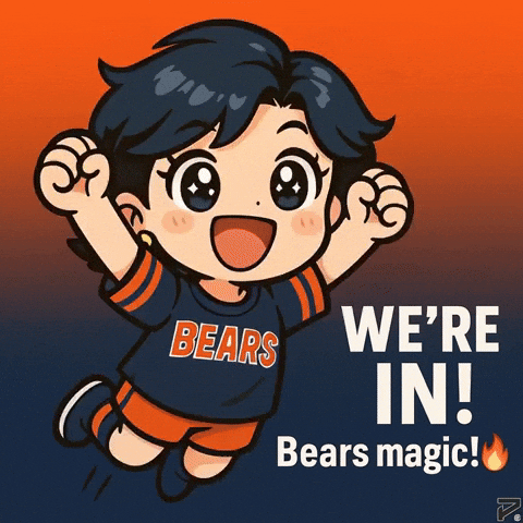 Nfl Playoffs Celebration GIF by Persona