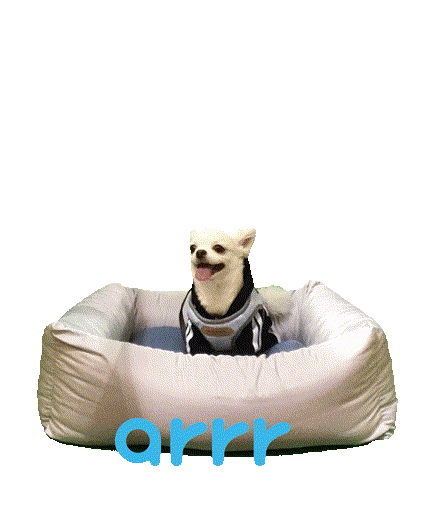 아르르 Sticker by arrr_official