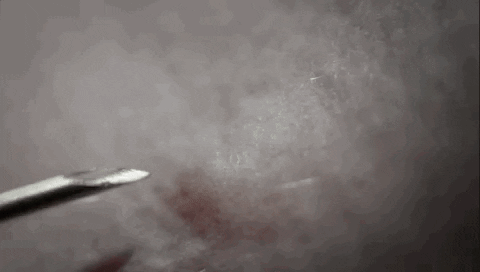 GIF by Vulture.com