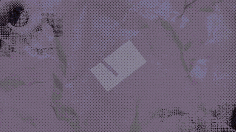 Tash_Hill giphyupload GIF