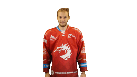 Ice Hockey Sticker Sticker by HC Oceláři Třinec