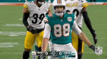 Miami Dolphins Football GIF by NFL