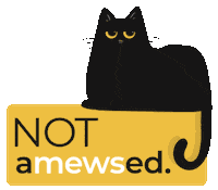 Serious Cat Sticker by Plane Crazy