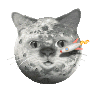 Kitty Eye Roll Sticker