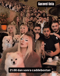 Garavel Usta GIF