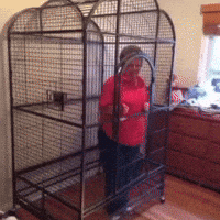 Escape GIF