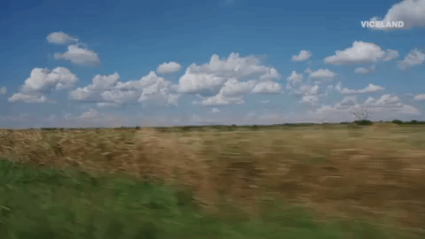 viceland GIF by Hate Thy Neighbor