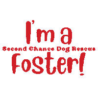 Rescue Dog Sticker by Second Chance Dog Rescue