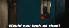Look At That Fast And Furious GIF by The Fast Saga