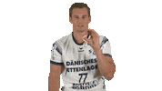 Handball-Bundesliga Yes Sticker by LIQUI MOLY HBL