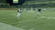 utsa roadrunners football GIF by UTSA Athletics