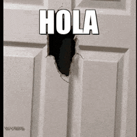 Sorpresa Aparecer GIF by WVRPS