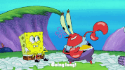 season 9 GIF by SpongeBob SquarePants