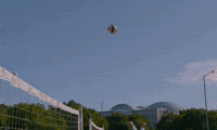 volleyball dive GIF by DC Fray