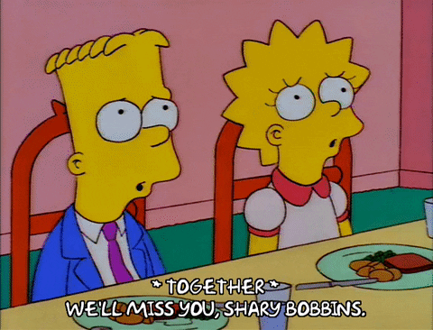 bart simpson episode 13 GIF