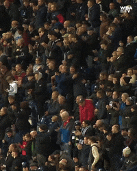 West Brom Football GIF by West Bromwich Albion