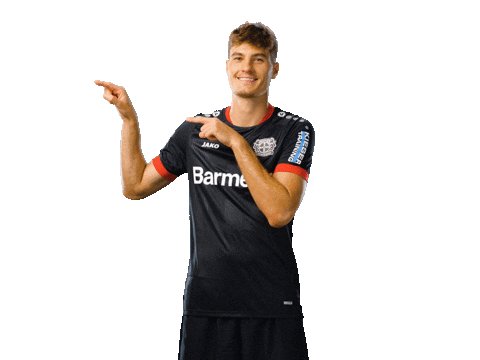 Bayer 04 Werkself Sticker by Bayer 04 Leverkusen