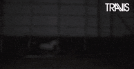 Try Again Stand Up GIF by Travis