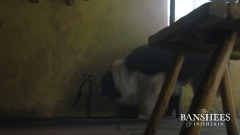 Dog Shears GIF by Searchlight Pictures
