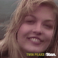 twin peaks s1 GIF by Stan.