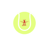 Tennis Court Sticker by San Diego Aviators