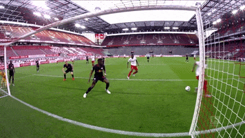 1 Fc Cologne Football GIF by 1. FC Köln